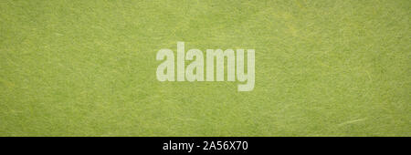 background and texture of moss green  Korean hanji paper handmade from inner bark of the mulberry tree Stock Photo