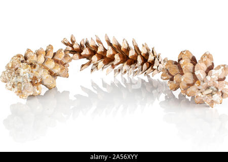 Group of three whole forest brown pine cone isolated on white background Stock Photo