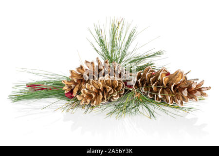 Group of three whole forest brown pine cone heap isolated on white background Stock Photo