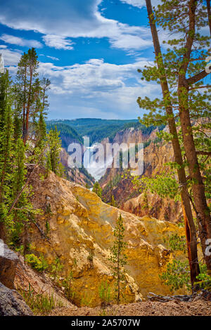 Veiw of Lower Yellowstone Falls through the trees with the Grand Canyon of the Yellowstone at Yellowstone National Park, Wyoming, USA. Stock Photo