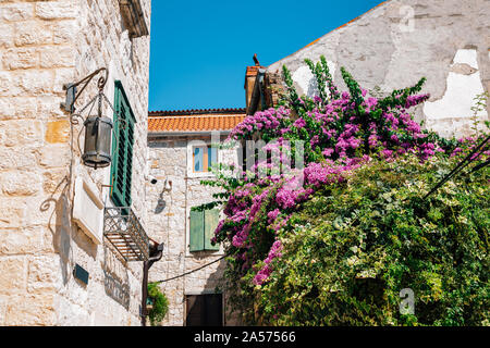 Old town buildings with flowers in Split, Croatia Stock Photo