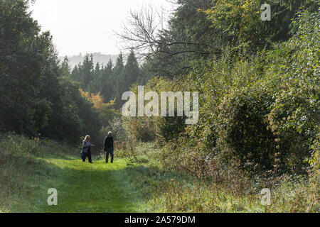 Senior couple walking a dog at Queen Elizabeth Country Park in the South Downs National Park, Hampshire, UK Stock Photo