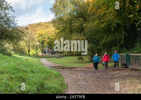 Walkers at Queen Elizabeth Country Park in the South Downs National Park, Hampshire, UK Stock Photo