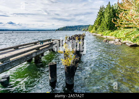 A view of the shoreline at Gene Coulon Park in Renton, Washington. Stock Photo