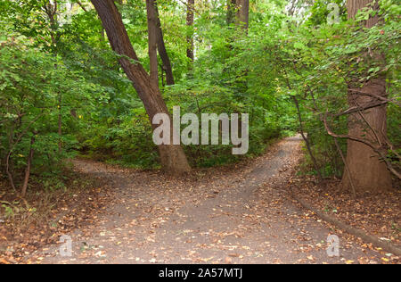 Fork in the road. Stock Photo