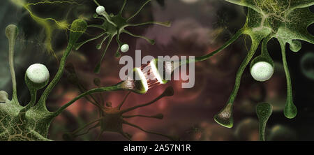 Microscopic image of brain neurons Stock Photo