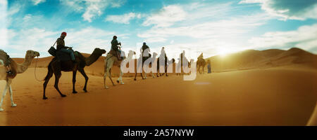 Tourists riding camels through the Sahara Desert landscape led by a Berber man, Morocco Stock Photo