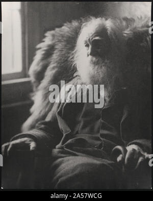 Walt Whitman, half-length portrait, seated by window, facing left Stock Photo