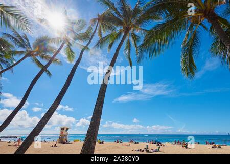 LKuhio Beach, Honolulu, Hawaiian Island Oahu, O'ahu, Hawaii, Aloha State, USA Stock Photo