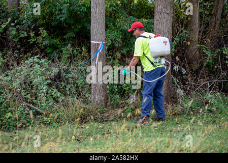 ARBORIST SPRAYING SYSTEMIC INSECTICIDE DINOTEFURAN BARK SPRAY TREATMENT ...