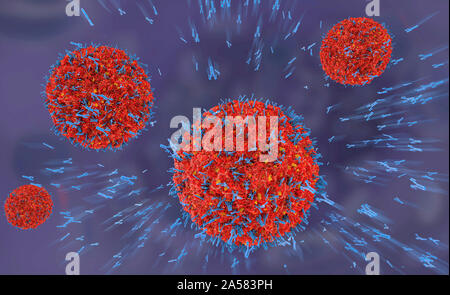 Antibodies attacking virus particles, illustration Stock Photo - Alamy