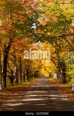 Desolate country road has leaves falling in autumn season New York Stock Photo