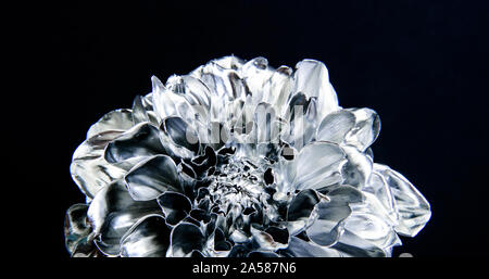 Floral shop. Metallic steel color. Flower covered metallic paint close up. Metal flower. Abstract art. Eternal beauty. Botany concept. Forging and sculpture. Beautiful black silver flower. Stock Photo