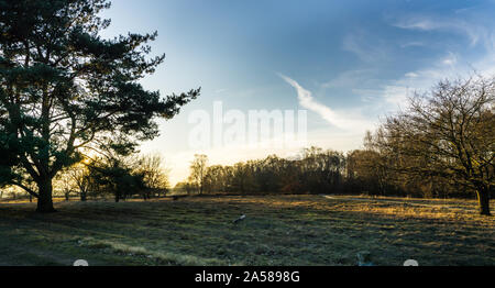 landscape of Boberger dunes at sunset in winter Stock Photo