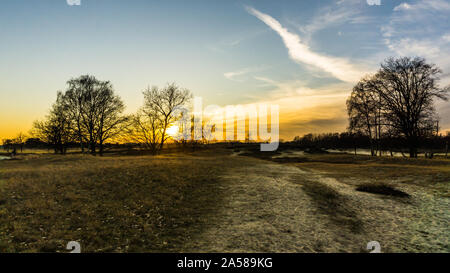 landscape of Boberger dunes at sunset in winter Stock Photo