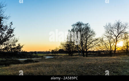 landscape of Boberger dunes at sunset in winter Stock Photo