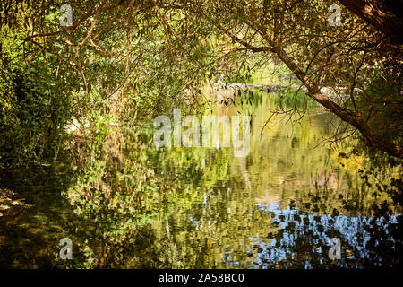 Trees reflecting in river. Abstract trees reflection on rippled water surface Stock Photo