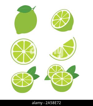limes fruits collection of vector illustrations isolated on white Stock Vector