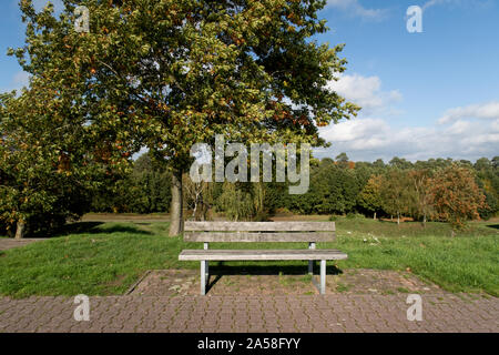 autumnal landscape and nature of geeste in the district emsland, germany Stock Photo