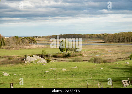 Spring farm and hay field in Maine, USA. Stock Photo