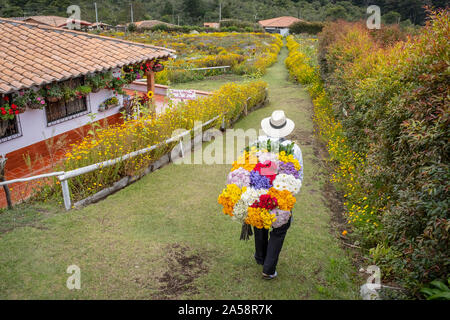Silletero, flower farmer, Finca, silletera, farm, Vereda Barro Blanco,  Sector El Rosario, Medellín, Colombia Stock Photo