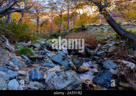 Creek in the forest with colorful trees during autumn season Stock Photo