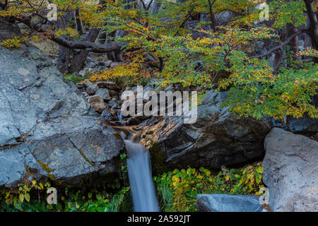 Waterfall in the forest with colorful trees during autumn season Stock Photo