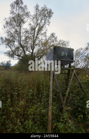18 October 2019, Rhineland-Palatinate, Kümbdchen: A high seat stands on a clearing at the edge of a forest. Hunters in Rhineland-Palatinate occasionally complain about deliberate damage to high seats. These range from simple vandalism, i.e. graffiti, dirt, slight damage, to serious damage such as sawing up ladders and supports and complete destruction by demolition or arson. Photo: Thomas Frey/dpa Stock Photo