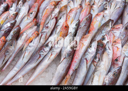 Medterranean fish exposed at open seamarket, Naples Stock Photo