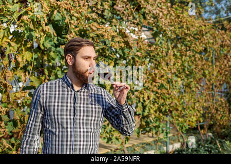 Portrait of handsome wine maker holding in his hand a glass of red wine and tasting it, checking wine quality while standing in vineyards. Small Stock Photo