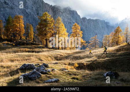 Mother and son hiking in the mountains, colorful pine trees in autumn. Julian alps , Slovenia Stock Photo