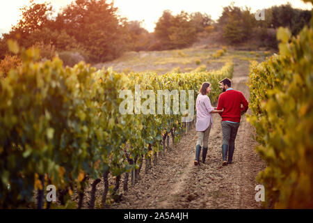 grapes in a vineyard.happy man and woman walking in between rows of vines. Stock Photo