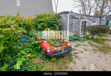 Dilapidated vintage MG car with plants growing from the engine on the beach outside a small art gallery in  Provincetown (P-Town), Cape Cod, MA, USA Stock Photo