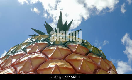 NAMBOUR, AUSTRALIA - NOVEMBER 23, 2017: a low angle close up of the big pineapple on the sunshine coast of queensland Stock Photo