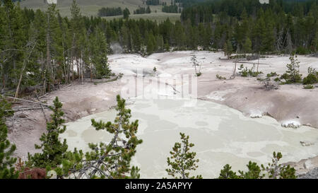 wide shot of sulphur caldron in yellowstone Stock Photo