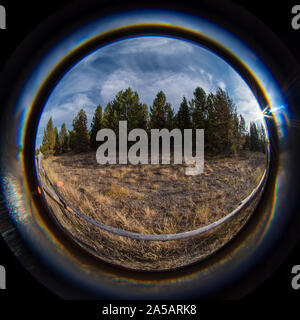 Fisheye view of wood pole fence and field with green forest beyond under a blue sky with white clouds. Stock Photo
