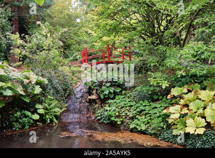 woodland garden in Autumn with a Japanese bridge over a stream running into a pond Stock Photo