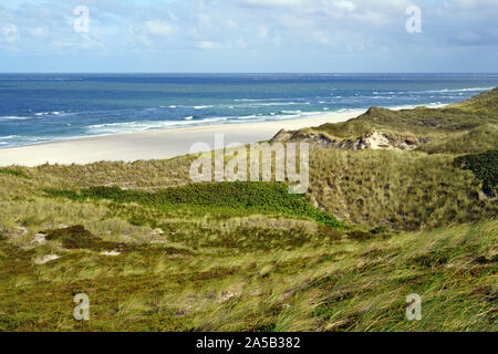 A bright sandy beach, green overgrown dunes and the blue sea. Coast of the island Sylt, Schleswig-Holstein, Germany in summer. Stock Photo