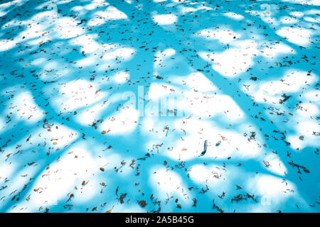 The tree shadow cast on the concrete floor . Shadow of tree on ground. Abstract and blur background.autumn leaves on ground Stock Photo
