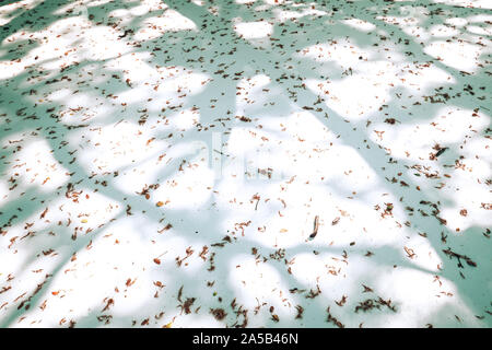 The tree shadow cast on the concrete floor . Shadow of tree on ground. Abstract and blur background.autumn leaves on ground Stock Photo