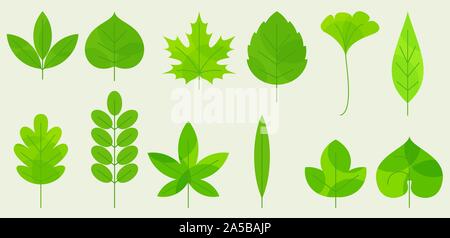 Fresh leaves icons Stock Vector