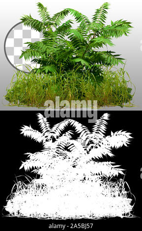Cut out wild plants. Mix of grass and wildflowers. Bush isolated on transparent background via an alpha channel. Cutout green foliage. Stock Photo