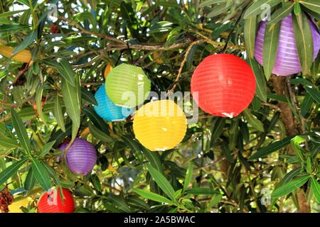 Colored round lanterns hanging on a tree in the garden Stock Photo
