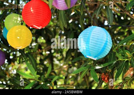 Colored round lanterns hanging on a tree in the garden Stock Photo