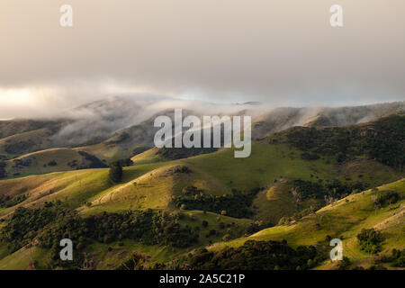 Misty green hills of Akaroa, New Zealand illuminated by the warm and bright evening sun in autumn, covered in fog with grazing sheep. Stock Photo