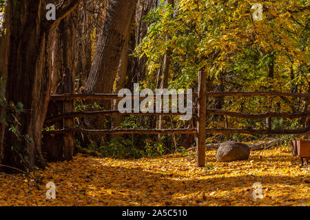 Colorful scene view of autumn at farm in Patagonia, Argentina Stock Photo
