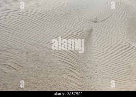 Result of wind game with sand at seashore Stock Photo