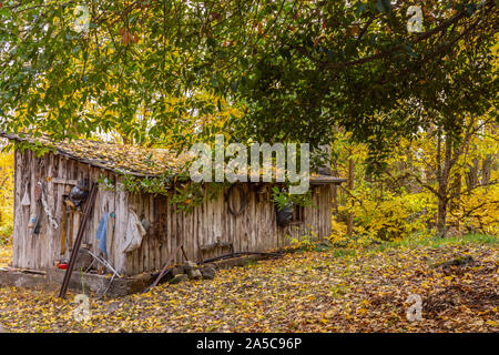 Colorful scene view of autumn at farm in Patagonia, Argentina Stock Photo