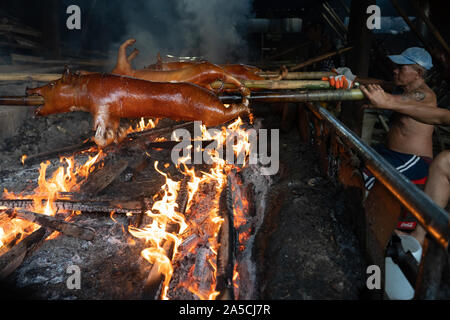 Spit Roasted pigs being cooked slowly over wooden embers in Talisay City,Cebu. Known as ‘Lechon Baboy’ in the Philippines, was once acclaimed as ‘The best pig ever’ by celebrity chef,sadly now deceased,Anthony Bourdain. As the National dish of the Philippines ‘Lechon baboy’ is a firm favourite with Filipinos throughout the year but particularly during special events such as birthdays,Fiestas and Christmas time where literally hundreds of thousands of pigs will be roasted. The Province of Cebu is regarded as having the best Lechon in the Philippines. Purveyors of Lechon have their own closely g Stock Photo