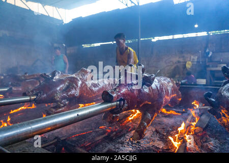 Spit Roasted pigs being cooked slowly over wooden embers in Talisay City,Cebu. Known as ‘Lechon Baboy’ in the Philippines, was once acclaimed as ‘The best pig ever’ by celebrity chef,sadly now deceased,Anthony Bourdain. As the National dish of the Philippines ‘Lechon baboy’ is a firm favourite with Filipinos throughout the year but particularly during special events such as birthdays,Fiestas and Christmas time where literally hundreds of thousands of pigs will be roasted. The Province of Cebu is regarded as having the best Lechon in the Philippines. Purveyors of Lechon have their own closely g Stock Photo